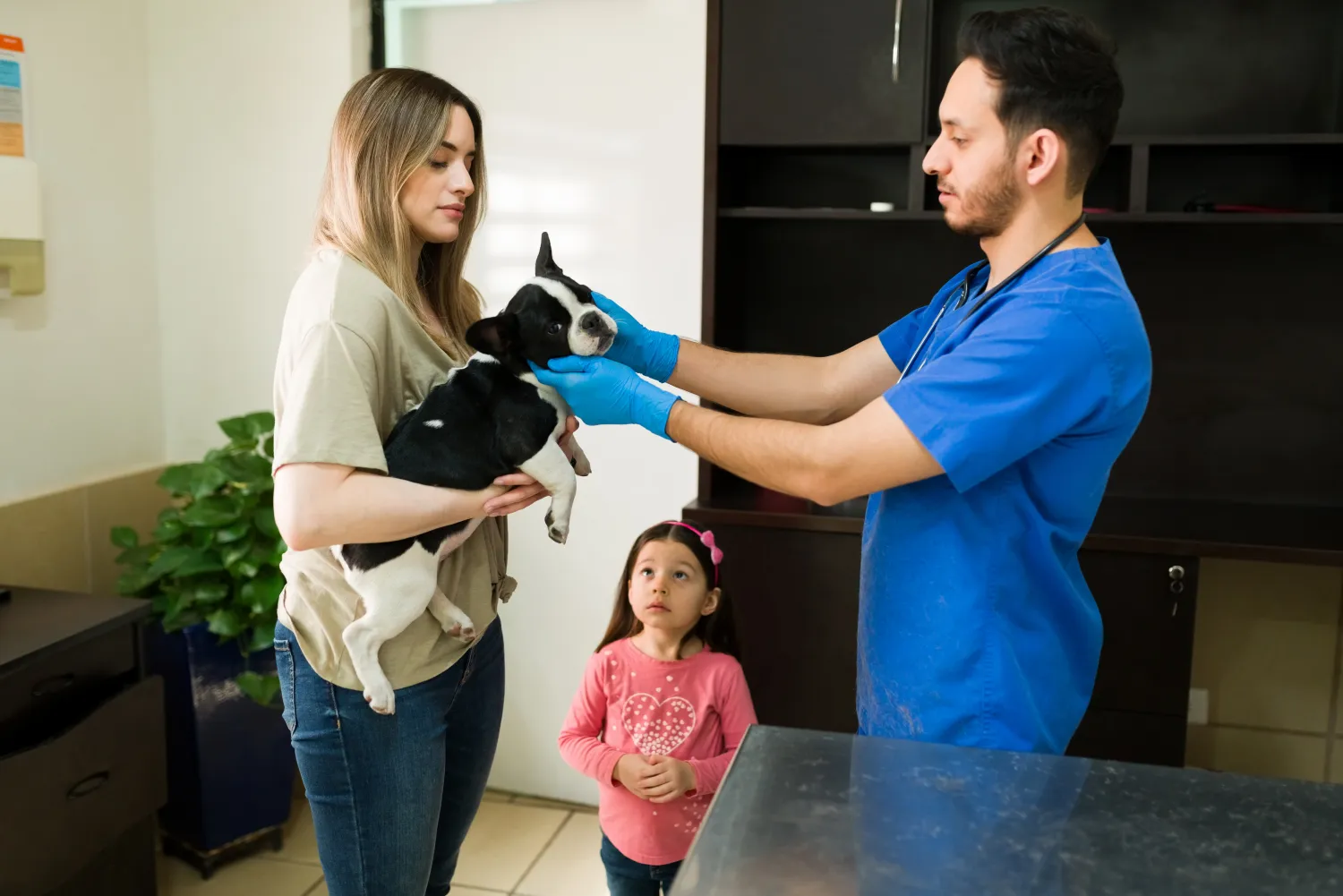 Vet examining a dog with a family at the clinic