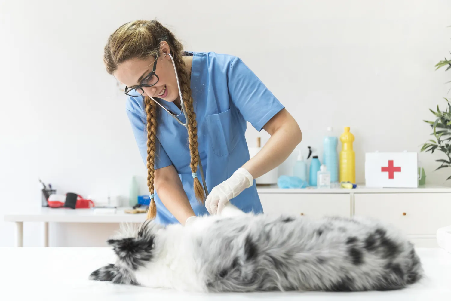 Veterinarian examining a dog in a clinic